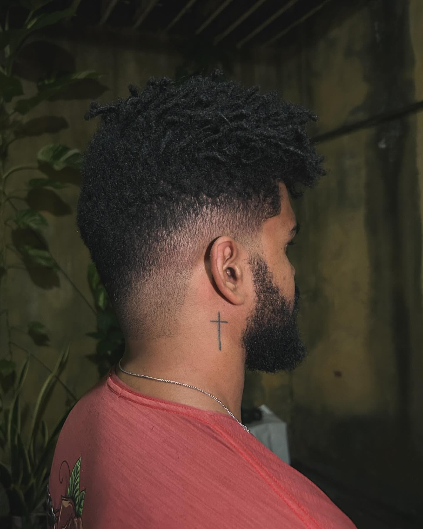 Corte Bendito Corte